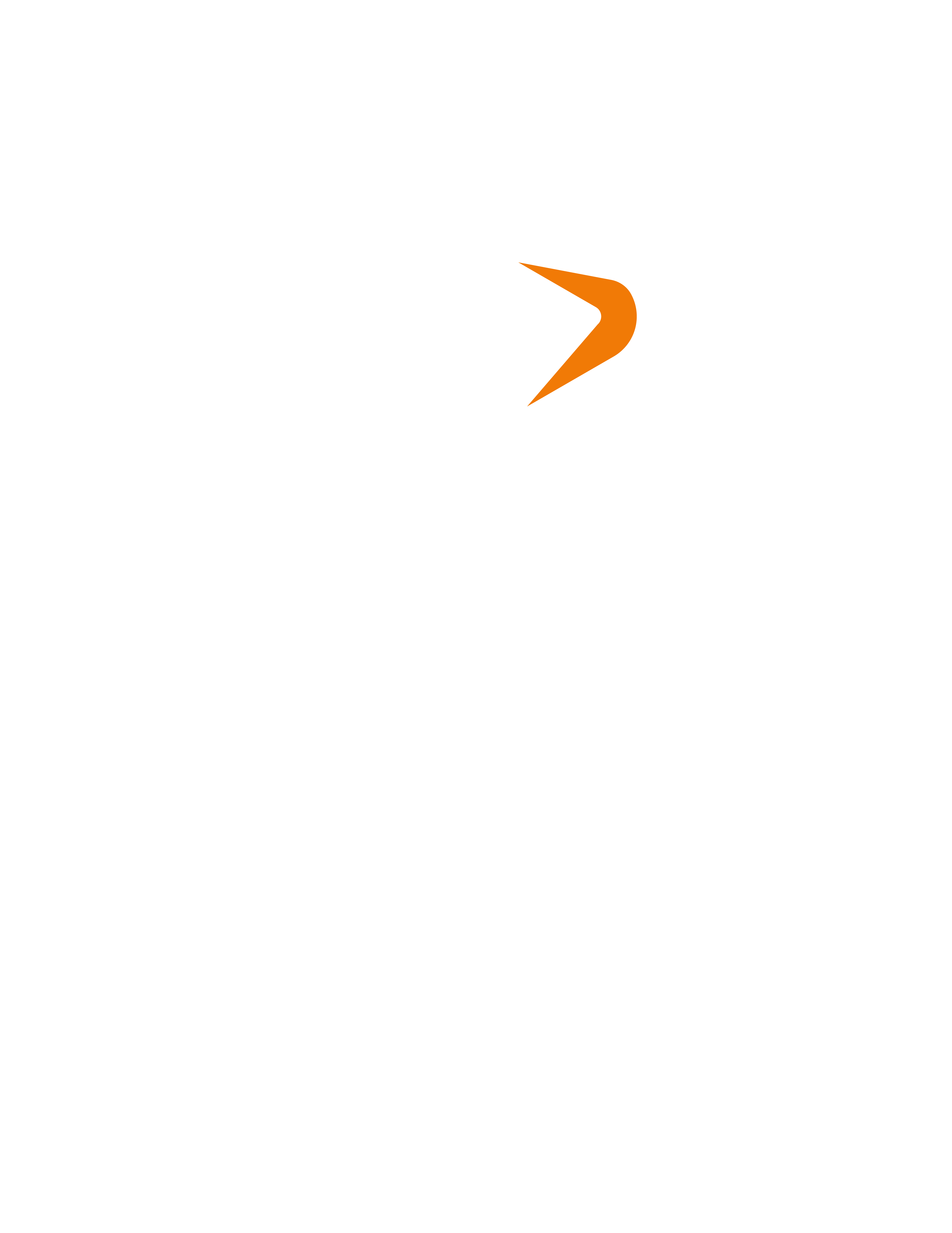 Tiger Company